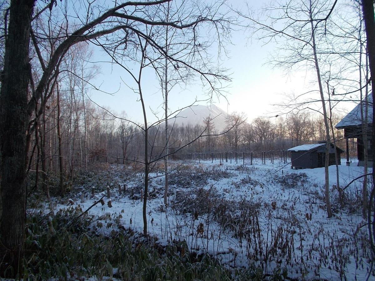 Niseko Shirokuma Cottage المظهر الخارجي الصورة